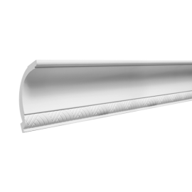 Chỉ trần 202